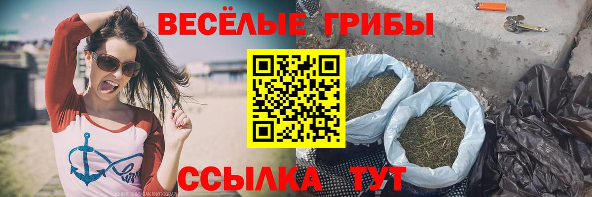 Тобольск  Галлюциногенные грибы Psilocybine cubensis  наркотики  Вход с VPN 